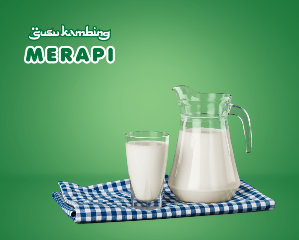 Susu Kambing Merapi