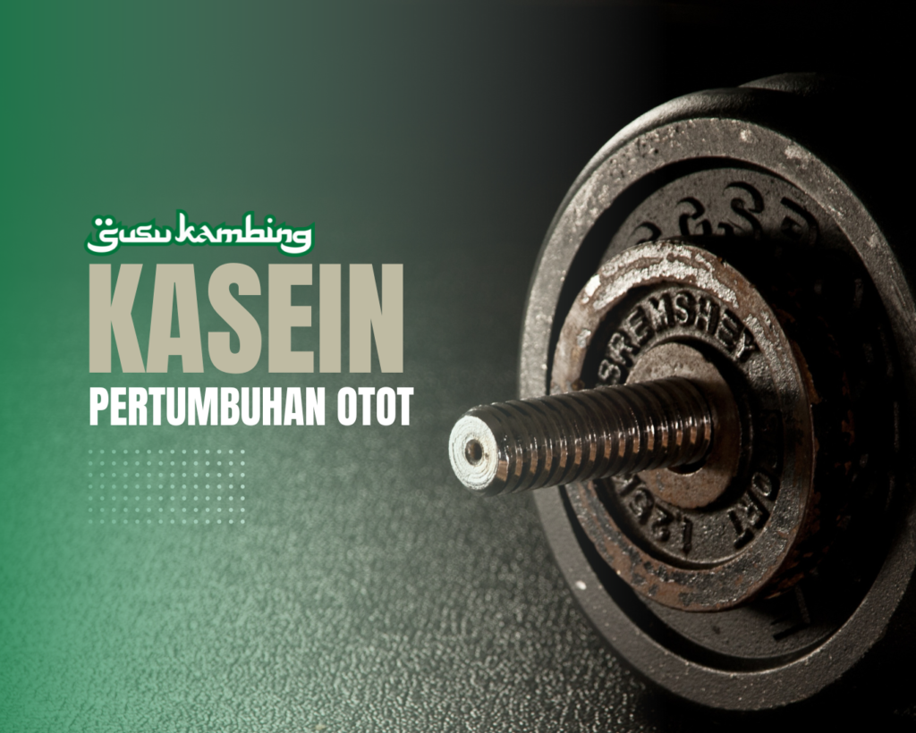 Kasein Susu Kambing Dapat Membantu Pertumbuhan Otot, Ini Faktanya!