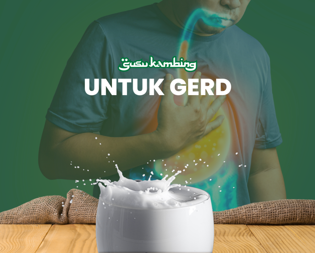 Susu Kambing Ternyata Berkhasiat untuk GERD