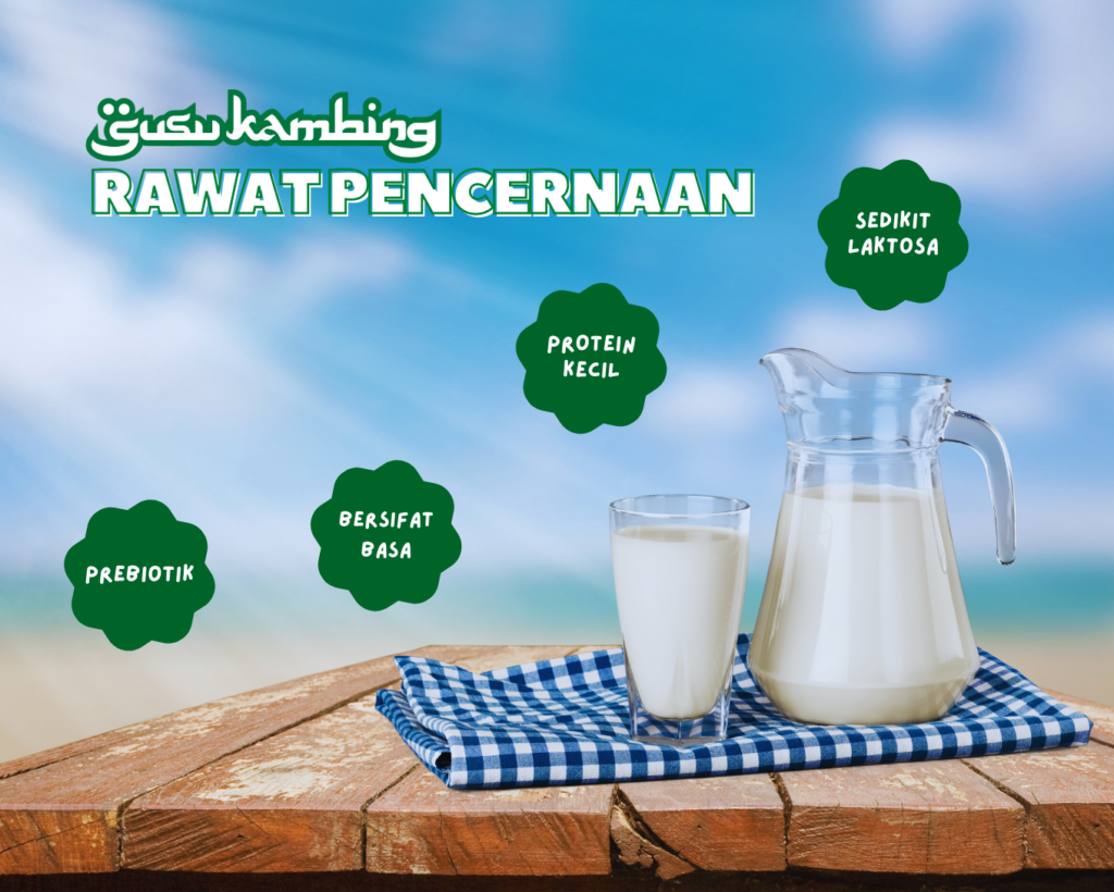 Selain Kaya Nutrisi, Susu Kambing Membuat Usus dan Pencernaan Lebih Sehat
