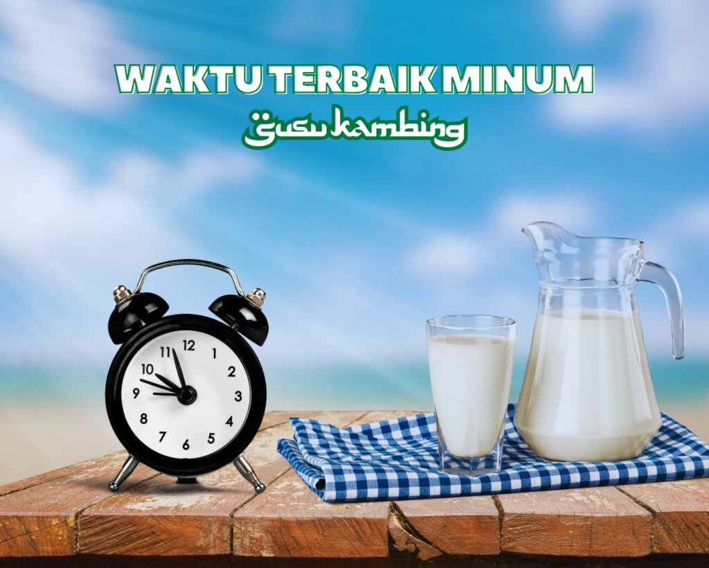 Kapan Waktu Terbaik untuk Meminum Susu Kambing?