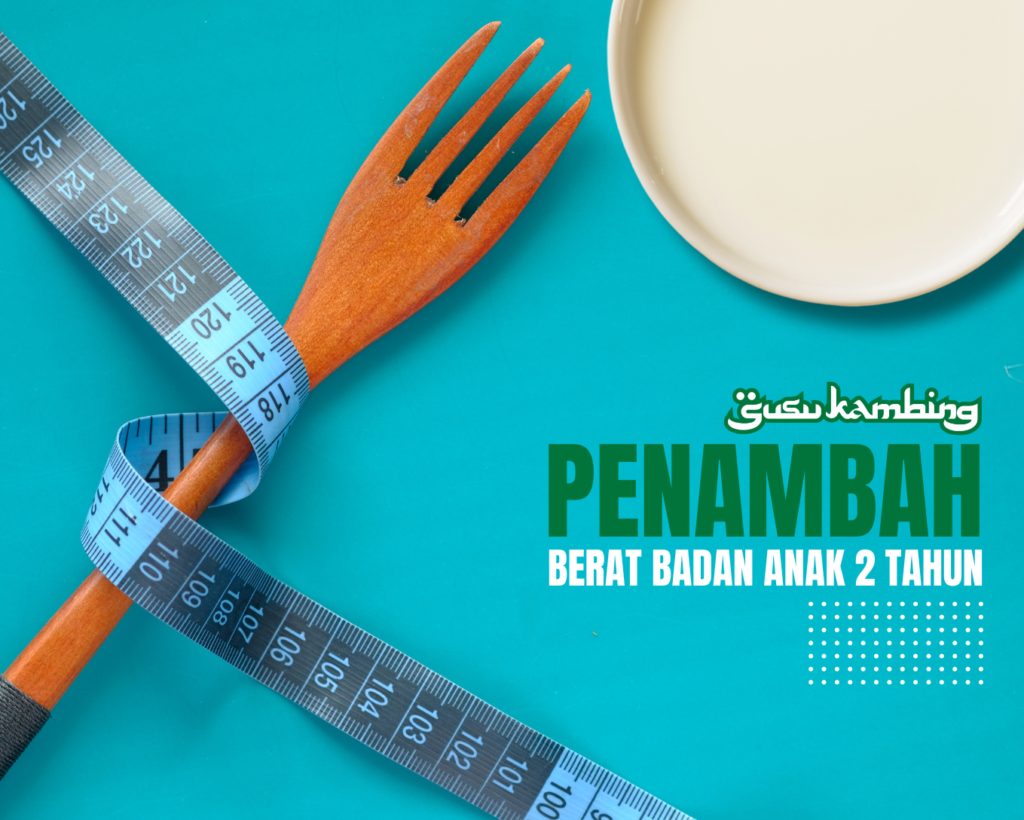 Kriteria Susu Penambah Berat Badan Anak 2 Tahun