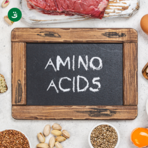 Sumber Asam Amino