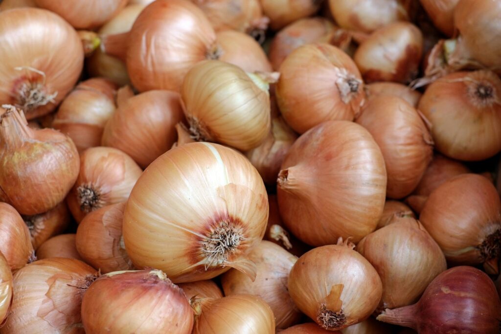 Bawang Bombai
