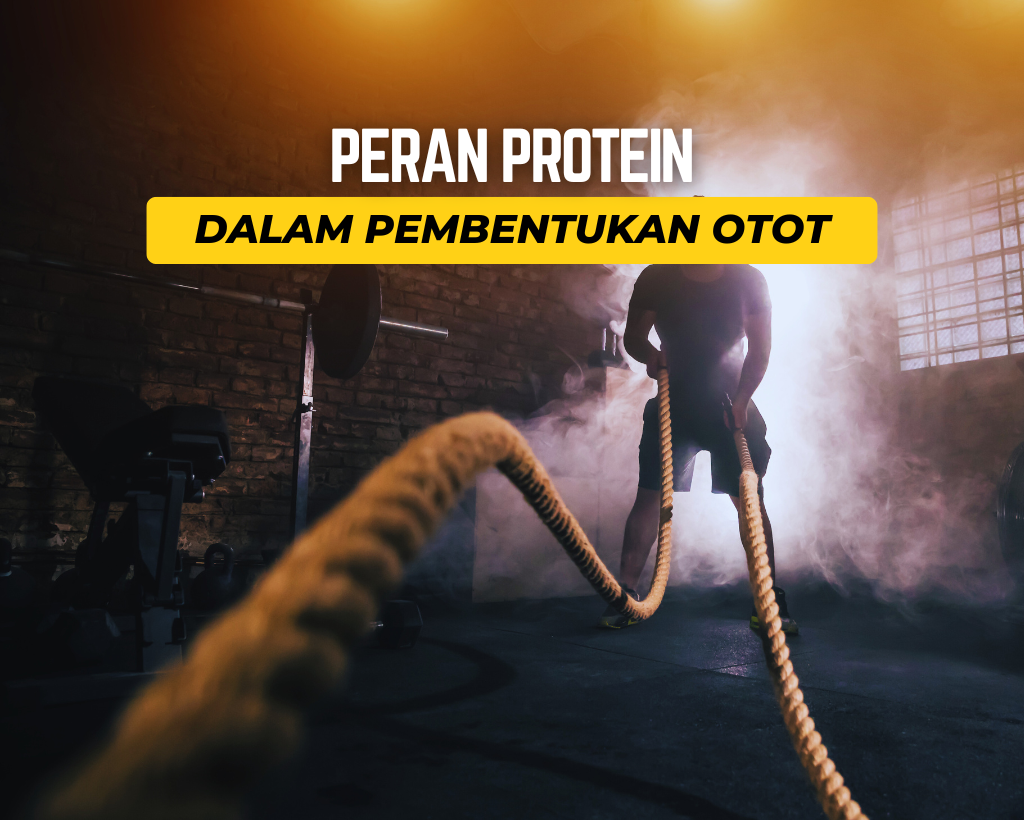 Hal Penting dalam Pembentukan Otot, Salah Satunya Protein